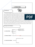 Solucionario Prehistoria