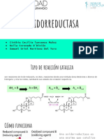 Oxidorreductasa