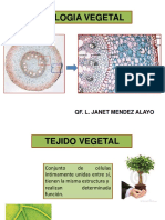 Tema 2 Histologia