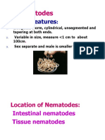 Nematodes Lab