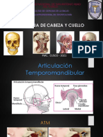 Articulacion Temporo Mandibular (Examen)