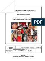 Trabajo 1. Diversidad C. SDS 2021-1-1