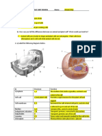 Review For Test - Biology Use This One - Answer Key