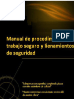 Manual de Procedimiento Escrito de Trabajo Seguro y Lineamientos