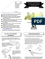 Cuadernillo Diagramado V2