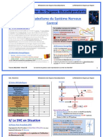 Fiche Métabolisme SNC Et GR Organe Gluco Dependants