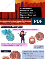 3.4 Process of Absorption and Transportation of Digested Food and Defecation