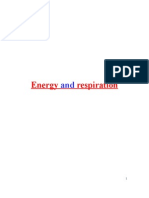 Energy and Respiration A2 Notes