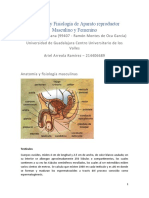 Anatomía y Fisiología Del Aparato Reproductor Masculino y Femenino