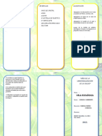 Triptico Proyecto La Vela Ecológica