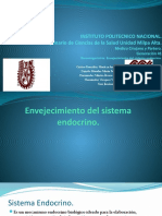 Envejecimiento y Trastornos Del Sistema Endocrino