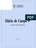 Diário de Campo - Estágio Curricular Obrigatório