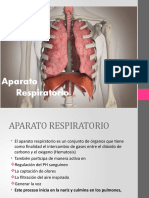 RESPIRATORIO