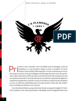 100 Anos de Bola, Raça e Paixão