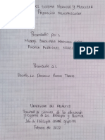 Informe 2 Preparación Neuromuscular