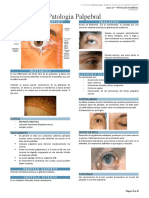 Clase 19 Patología Palpebral