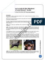 Crni Lotos Interview, Rottweiler Breeder in Serbia - English