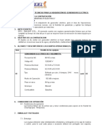 TDR Equipos Operacionales Livianos Generador Electrico