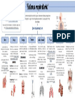 Sistema Respiratorio