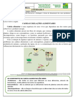 4o Ano Cadeias e Teias Alimentares Simples Professor