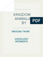 Kingdom Animalia