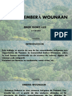 Embera Wounaan