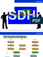 Synchronous Digital Hierarchy