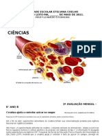 3 Avaliação Ciências 8 Ano 2011
