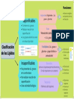 Clasificación de Los Lípidos