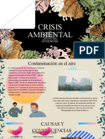 Crisis Ambiental