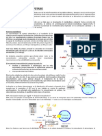 Fisiología Del Potasio