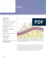 Páginas Carbohidratos DesdeBIOQUIMICA TRUDY - MCKEE 5