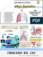 Fisiopatologia Grupo A