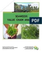 Seaweeds VCA (Palawan) - Updating - July18 - 2017