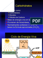 Clase05 - Carbohidratos