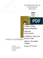 Ensayo Los Pueblos Originarios Del Estado de Veracruz