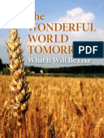 Wonderful World Tomorrow