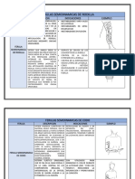 Ferulas Semidinamicas de Rodilla y Codo