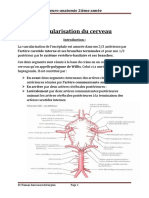 Chap8 Vascularisation Du Cerveau