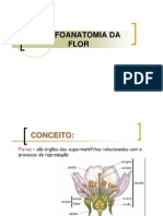 Aula Flor