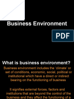 Business Environment