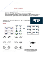 Resumen de Examen 1 de Cuidado Ocular Primario 1