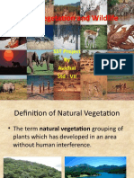 Natural Vegetation and Wildlife