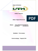 PDF Analisis Financiero III Parcial