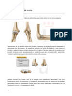 Articulaciones Del Codo Tema 16