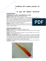 Informe de Resultados Del Examen Práctico de Microbiología