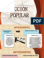 Accion Popular