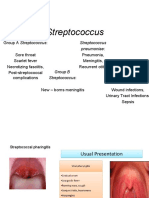 E Streptococcus ST