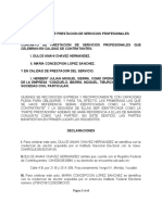 Contrato de Prestacion de Servi Cios Profesionales