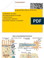 1 7 Cytoskeleton